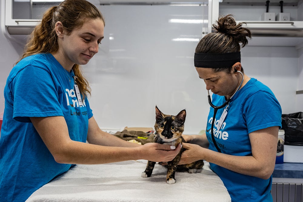 Drop-in Community Clinic for low-income pet parents of Marin County