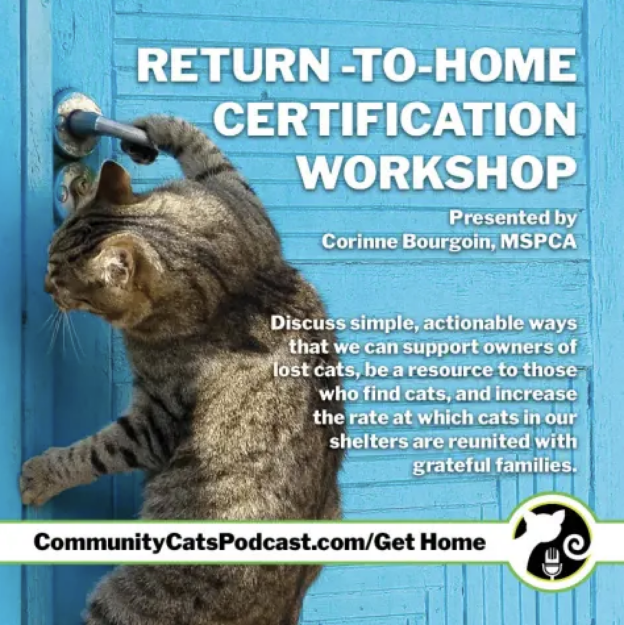 Webinar – 3/6/24 – Return to Home: A Workshop on Keeping Cats with Their Families – Community Cats Podcast (small fee applies)