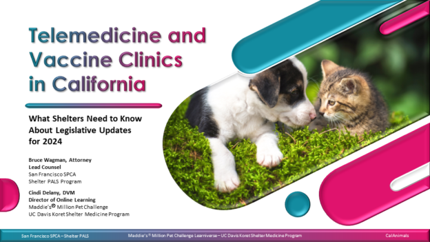 Telemedicine and Vaccine Clinics in California 2024