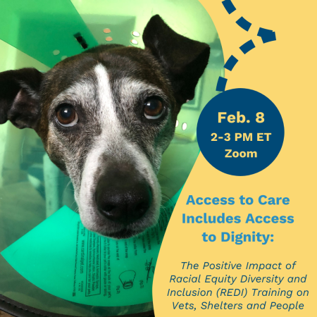 Access to Care Includes Access to Dignity - Life of Riley webinar