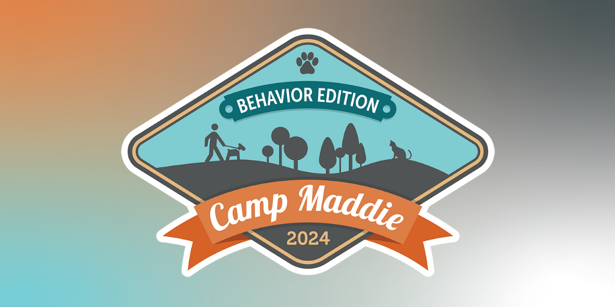 Camp Maddie: Behavior Edition