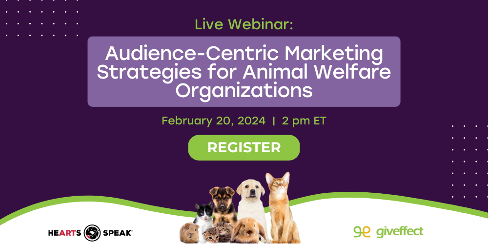Audience-Centric Marketing Strategies for Animal Welfare Organizations