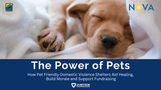 The Power of Pets: How Pet-friendly Domestic Violence Shelters Aid Healing, Build Morale, and Support Fundraising