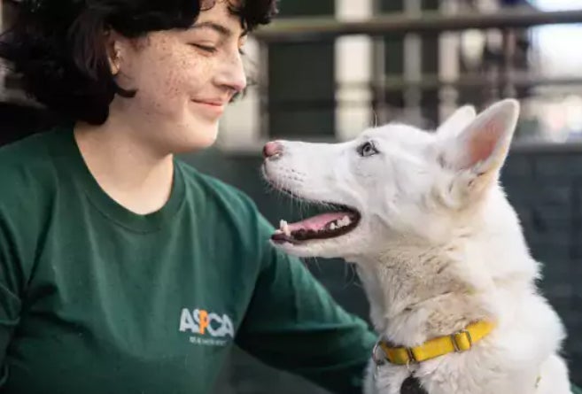 ASPCA photo shows a woman wearing a dark green shirt smiling at a dog