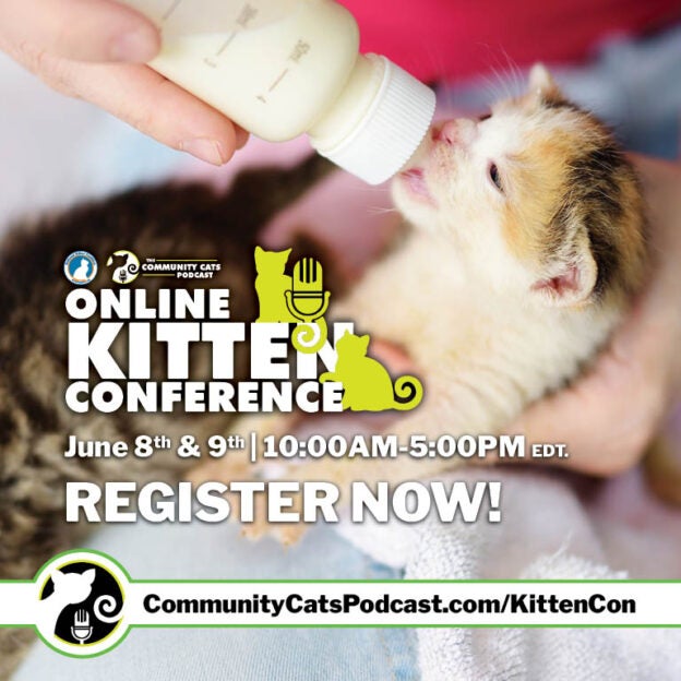 Online Conference – 6/8/24 to 6/9/24 – Online Kitten Conference – CCP and National Kitten Coalition (fee applies)