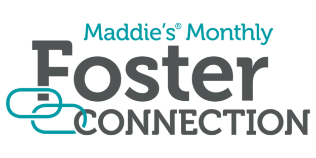 Online Event – 11/6/25 – Maddie’s Monthly Foster Connection: Detective, Educator, Mediator: A Holistic Approach to Foster Behavior Support – Maddie’s Fund