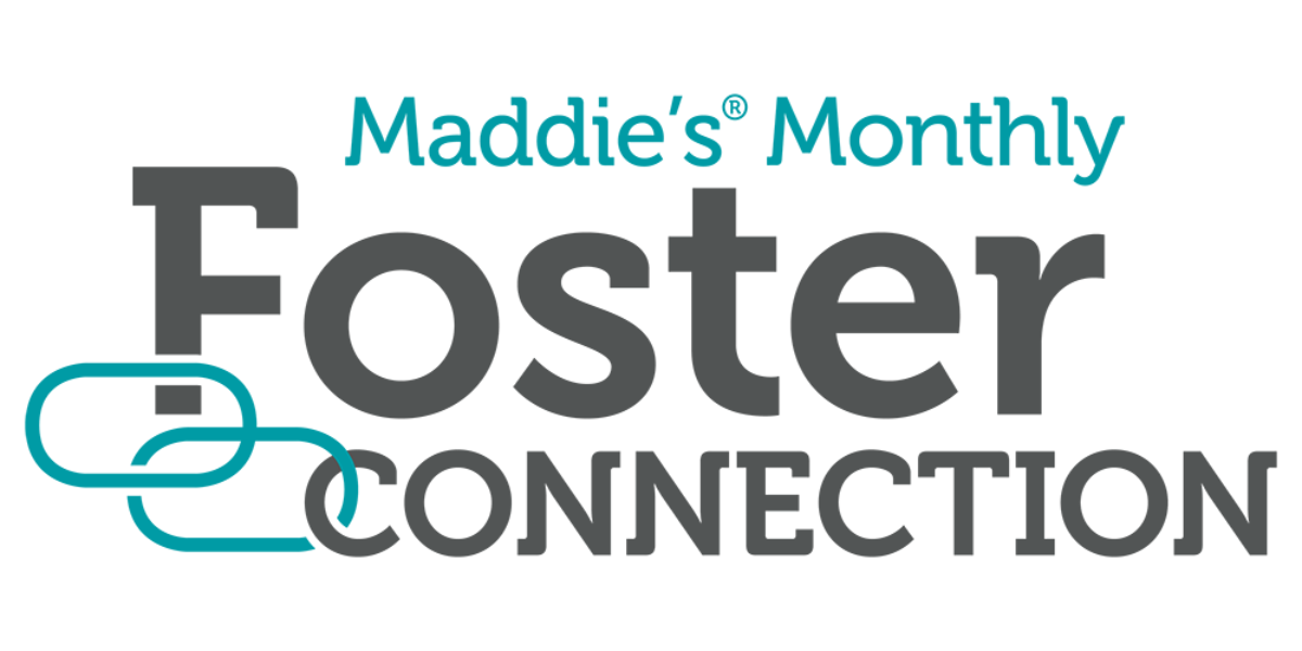 Maddie's Monthly Foster Connection