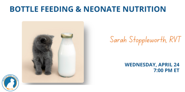 Webinar – 4/24/24 – Bottle Feeding & Neonate Nutrition – The National Kitten Coalition