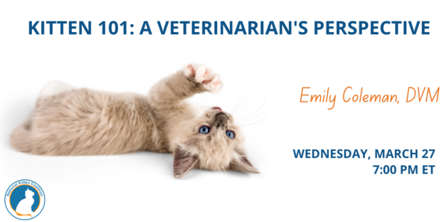 Webinar – 3/27/24 – Kitten 101: A Veterinarian’s Perspective – The National Kitten Coalition
