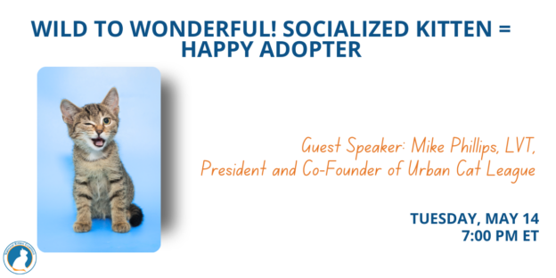 Webinar – 5/14/24 – WILD TO WONDERFUL! Socialized Kitten = Happy Adopter – The National Kitten Coalition