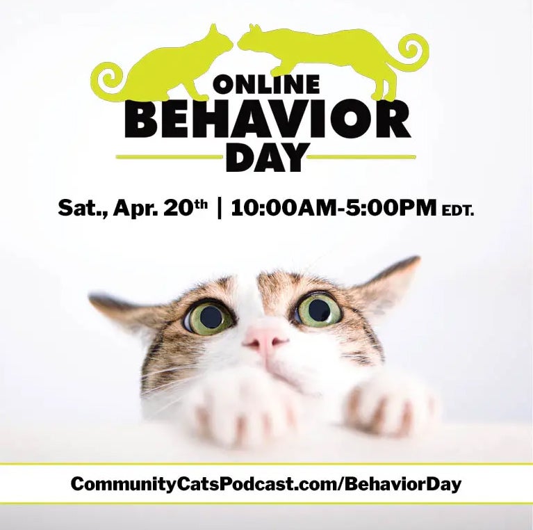 Community Cats Podcast Online Behavior Day 2024