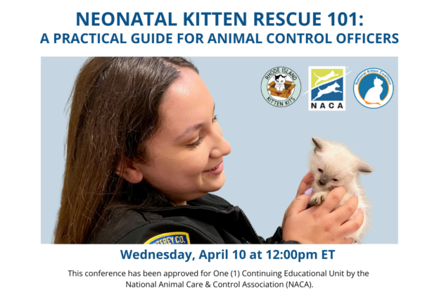 Online Event – 4/10/24 – Neonatal Kitten Rescue 101: A Practical Guide for Animal Control Officers – The National Kitten Coalition