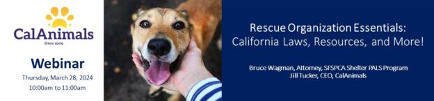 Webinar – 3/28/24 – Rescue Organization Essentials: California Laws, Resources, and More! – CalAnimals