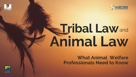 Tribal Law and Animal Law