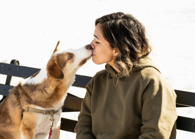 Online Seminar – 5/7/24 and 5/9/24 – Keeping Families Together: How to Support Domestic Violence Survivors and Their Pets – CVMA (fee applies)