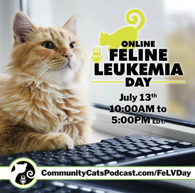 Online Event – 7/13/24 – Online Feline Leukemia Day – Community Cats Podcast (fee applies)