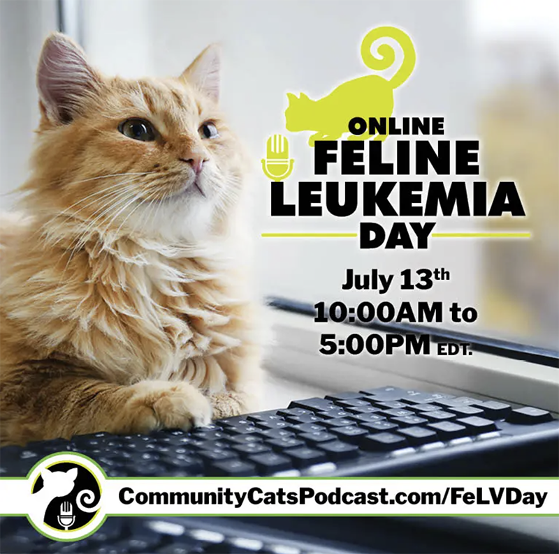 2024 Online Feline Leukemia Conference