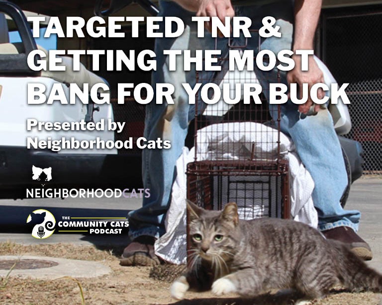 Targeted TNR and Getting the Most Bang for Your Buck