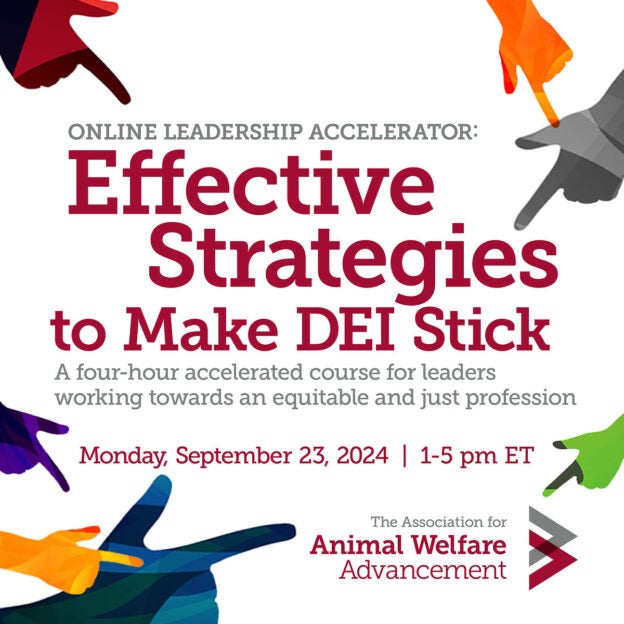 Online Workshop – 9/23/24 – Leadership Accelerator: Effective Strategies to Make DEI Stick – The AAWA