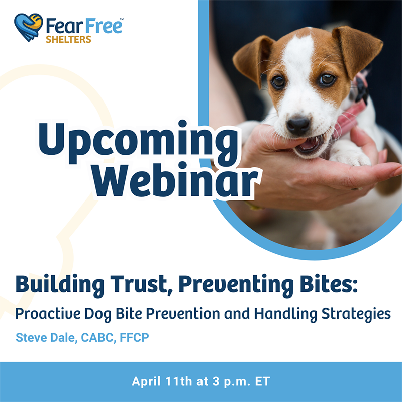 Building Trust, Preventing Bites: Proactive Dog Bite Prevention and Handling Strategies