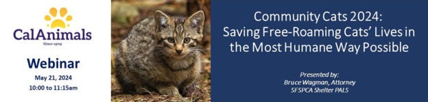 Webinar – 5/21/24 –  Community Cats 2024: Saving Free-Roaming Cats’ Lives in the Most Humane Way Possible – CalAnimals