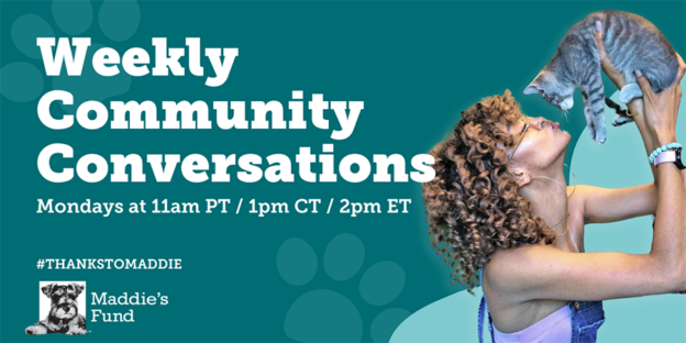 Online Meeting – 6/17/24 – Weekly Community Conversations: Healing Justice for Trauma Experienced in the Workplace – Maddie’s Fund