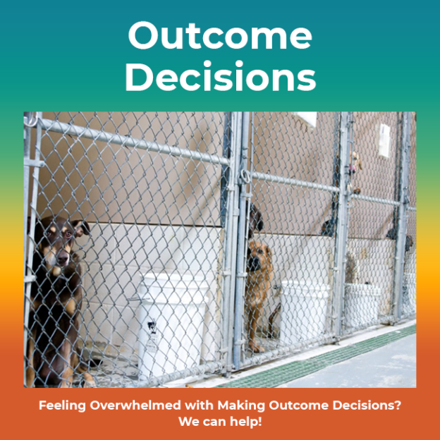 Feeling Overwhelmed with Making Outcome Decisions? We can help!