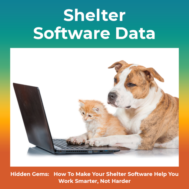 Hidden Gems: How to Make Your Shelter Software Help You Work Smarter, Not Harder