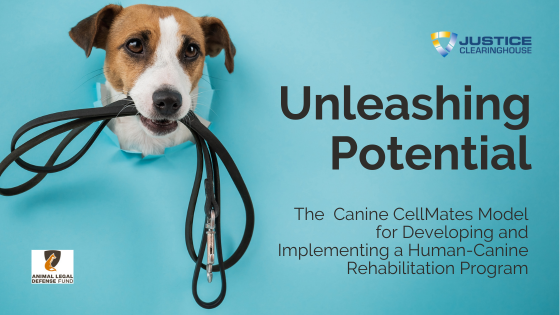 Unleashing Potential: The Canine CellMates Model for Developing and Implementing a Human-Canine Rehabilitation Program