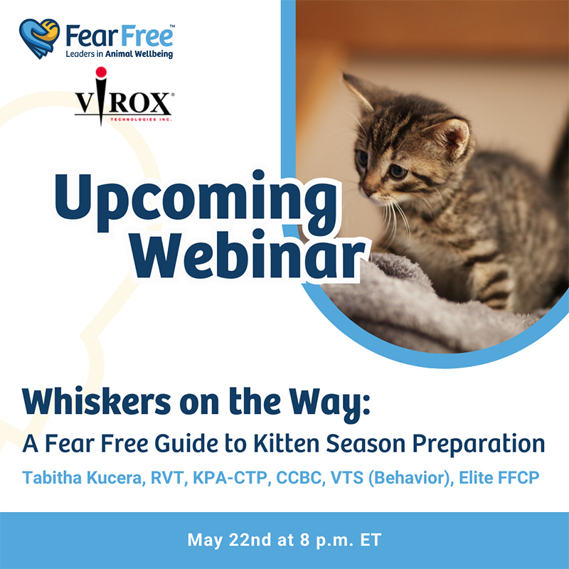 Fear Free Presents Whiskers on the Way: A Fear Free Guide to Kitten Season Preparation