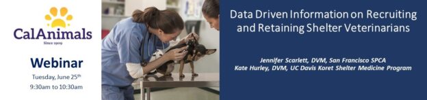 Webinar – 6/25/24 – Data Driven Information on Recruiting and Retaining Shelter Veterinarians – CalAnimals