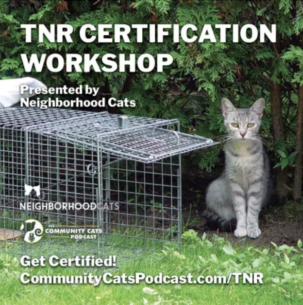 Online Event – 3/1/25 – Neighborhood Cats TNR Certification Workshop – Community Cats Podcast (small fee applies)