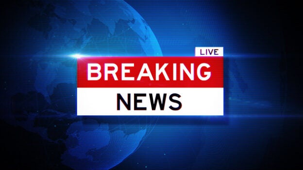 Webinar – 7/21/24 – An Update on Feline Infectious Peritonitis: Diagnosis and New Treatment Options for Cats With FIP – VETGirl (fee applies)