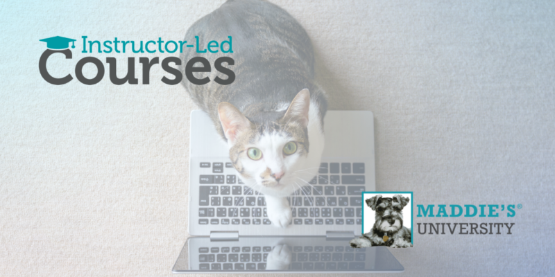 Maddie's Fund Instructor Led Courses