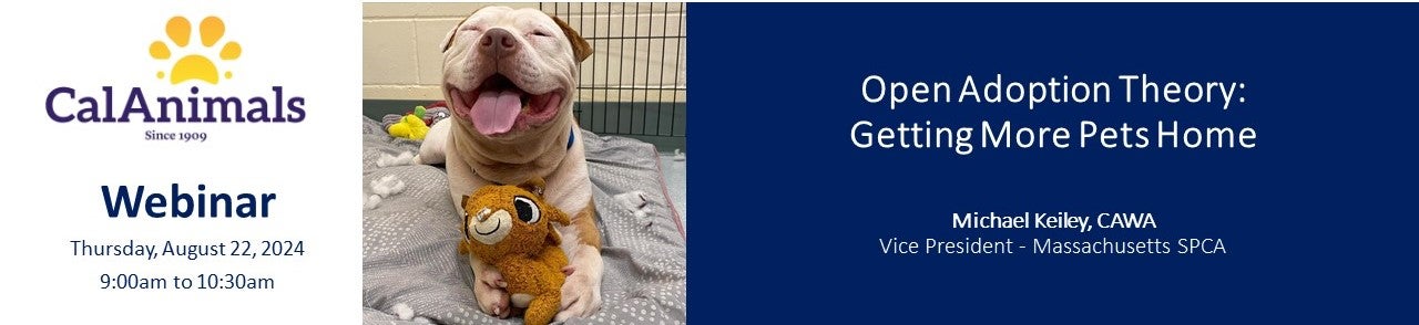 Open Adoption Theory: Getting More Pets Home