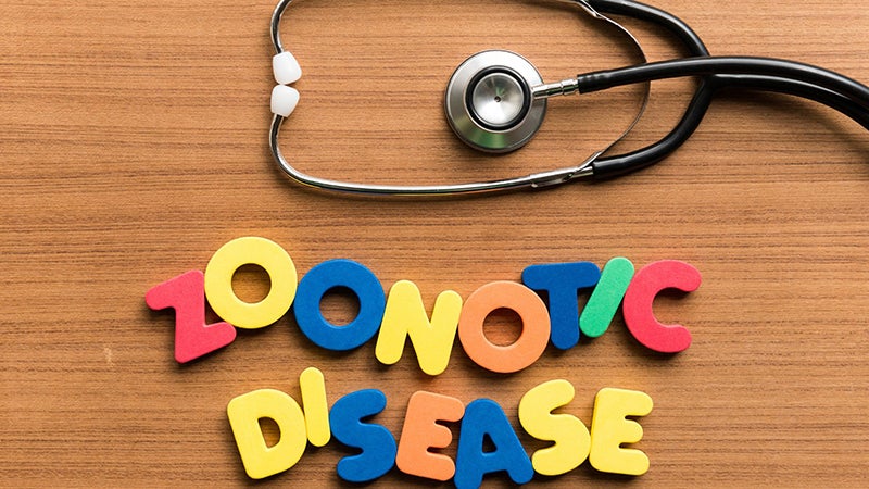 Multicolored letters spell out Zoonotic Disease
