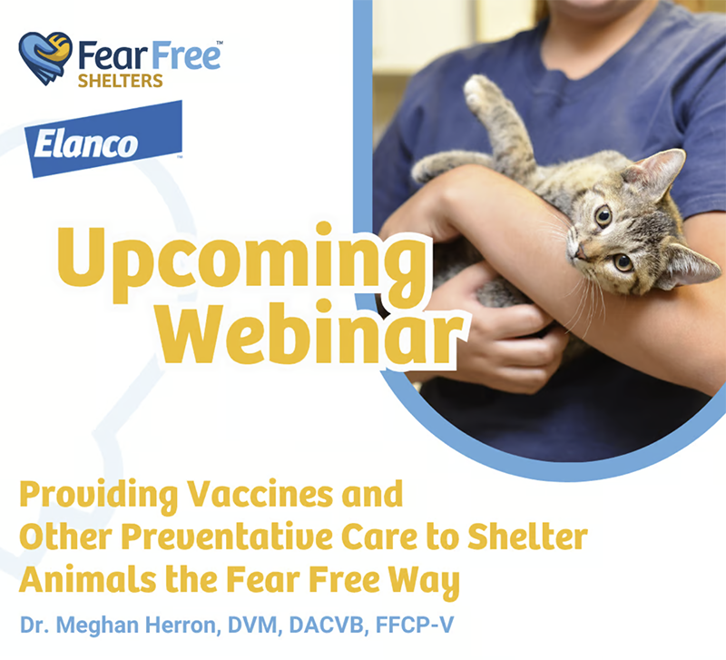 Fear Free Webinar 9/17/24