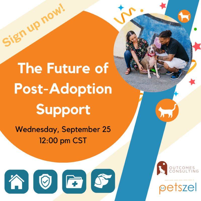 The Future of Post-Adoption Support