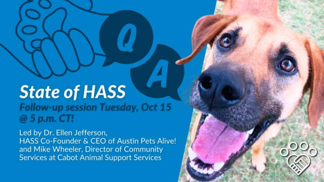 State of HASS Q&A