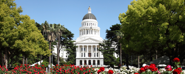 CVMA Online Seminar: New Laws for 2025