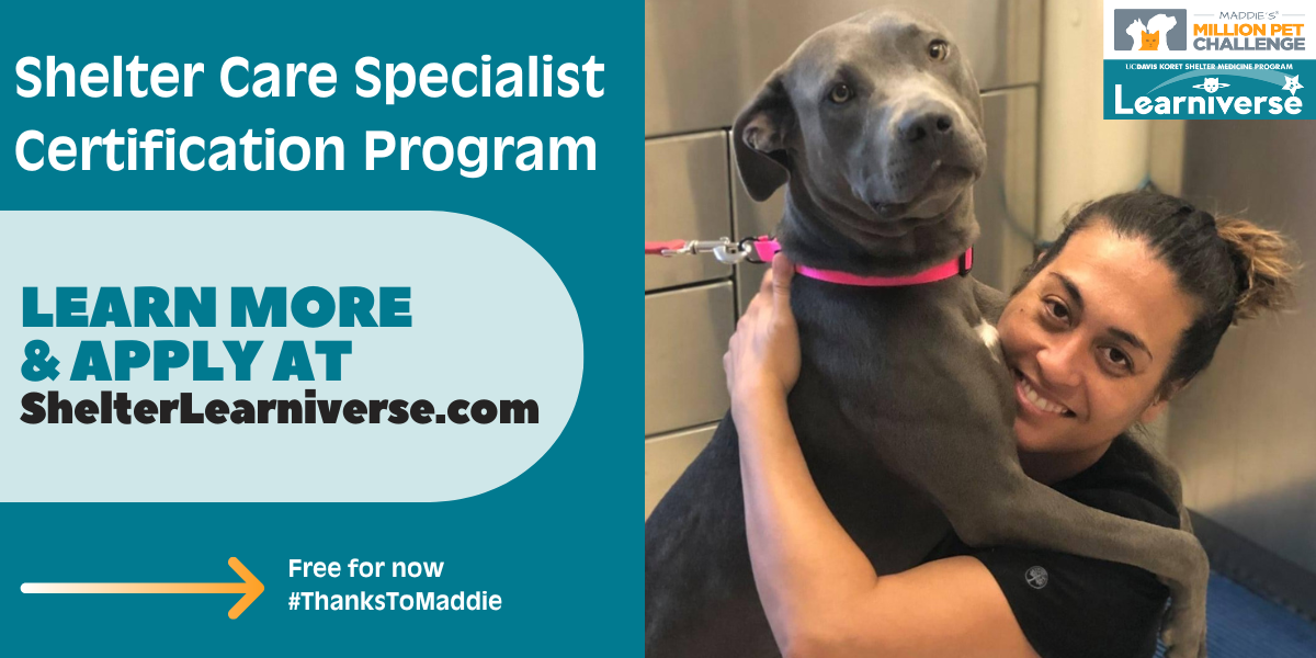 Shelter Care Specialist Certification Program - Learn more and apply at shelterlearniverse.com