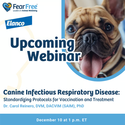Canine Infectious Respiratory Disease: Standardizing Protocols for Vaccination and Treatment