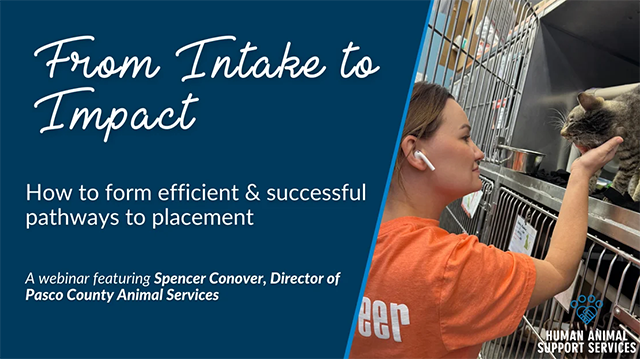 From Intake to Impact