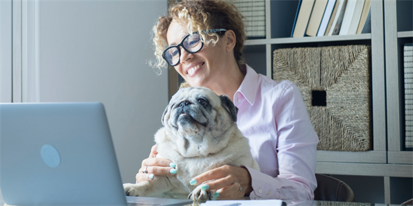 Pethelpfinder.org: Access to Financially Friendly Pet Services and What the Site Means for You