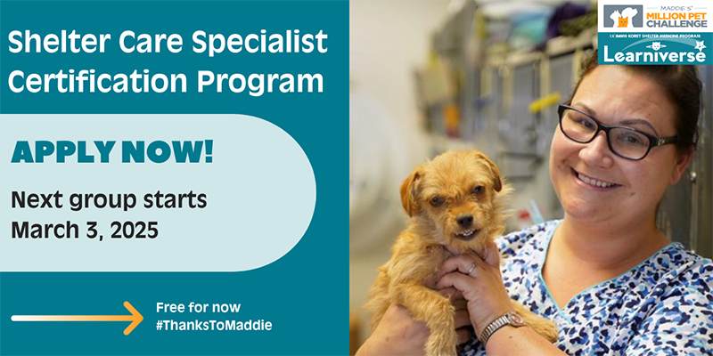 Shelter Care Specialist Certification Program Starts 3/3/25