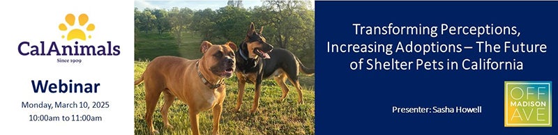 Transforming Perceptions, Increasing Adoptions – The Future of Shelter Pets in California