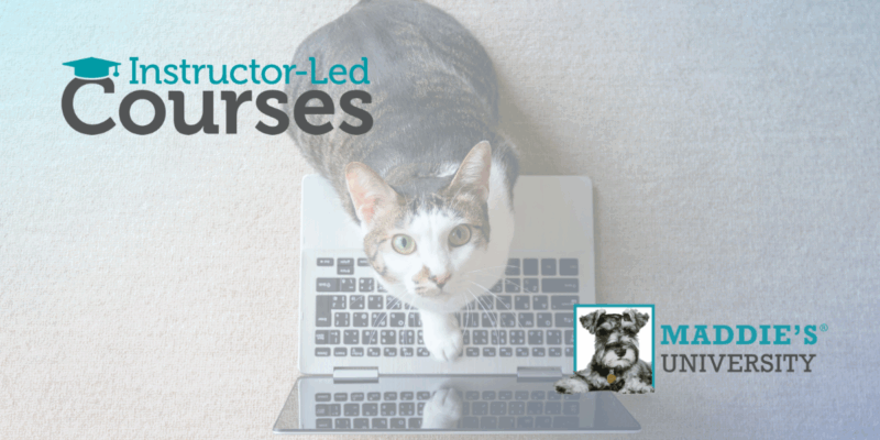 Maddie's Fund Instructor Led Courses