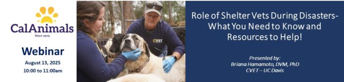 Role of Shelter Vets During Disasters - What You Need to Know and Resources to Help!