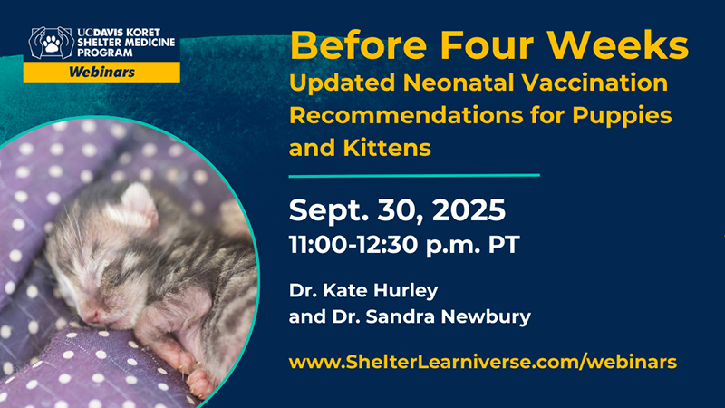 Before Four Weeks: Updated Vaccination Recommendations for Neonatal Puppies and Kittens