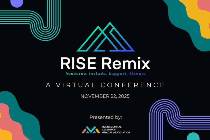 MCVMA RISE Remix 2025